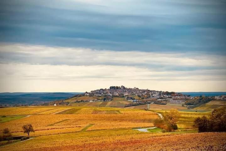 Gite Entre Vignes Et Loire Thauvenay المظهر الخارجي الصورة